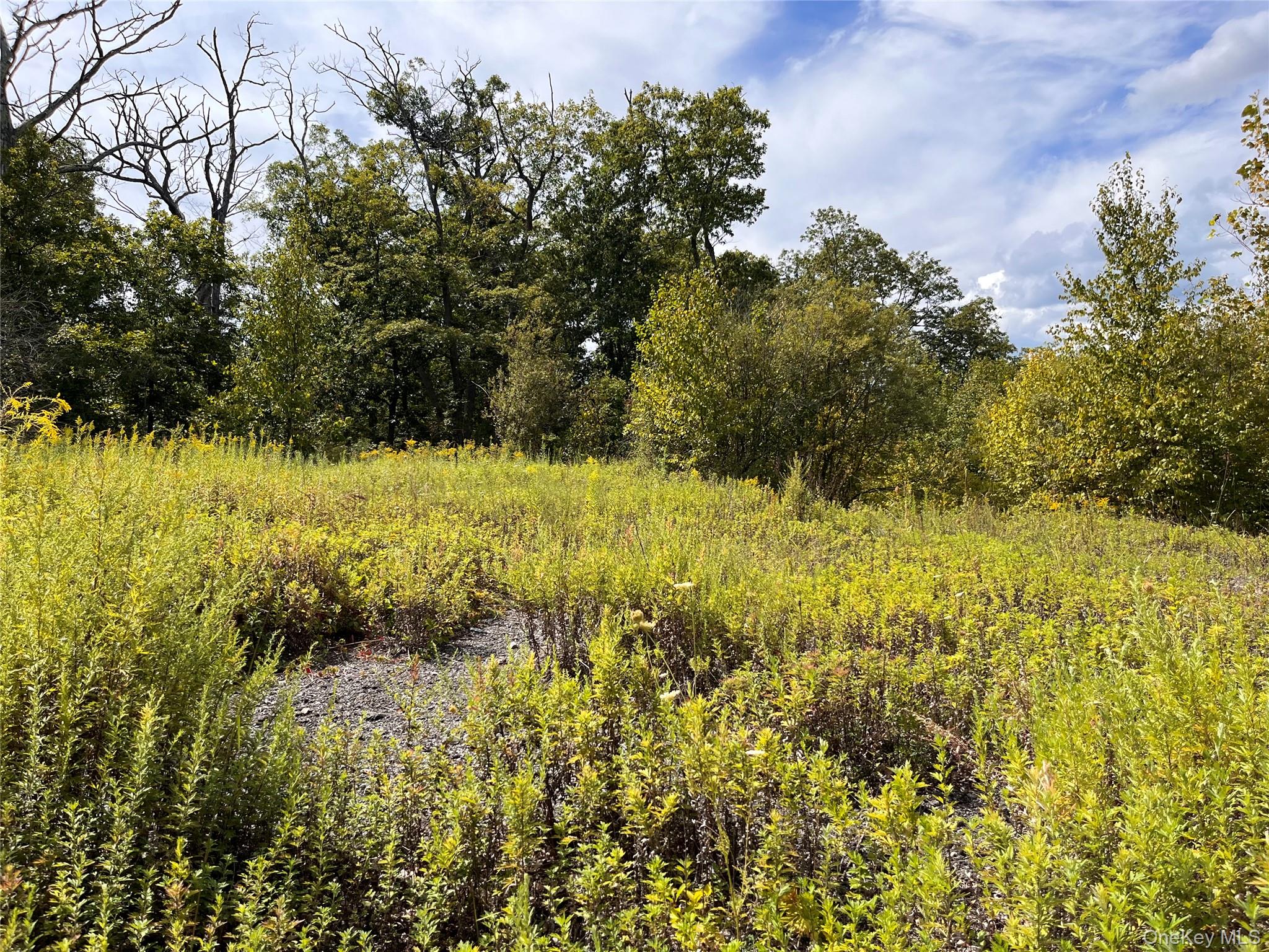 #3 photo, 31 Ridgecrest Road, Lake Peekskill , NY 10537