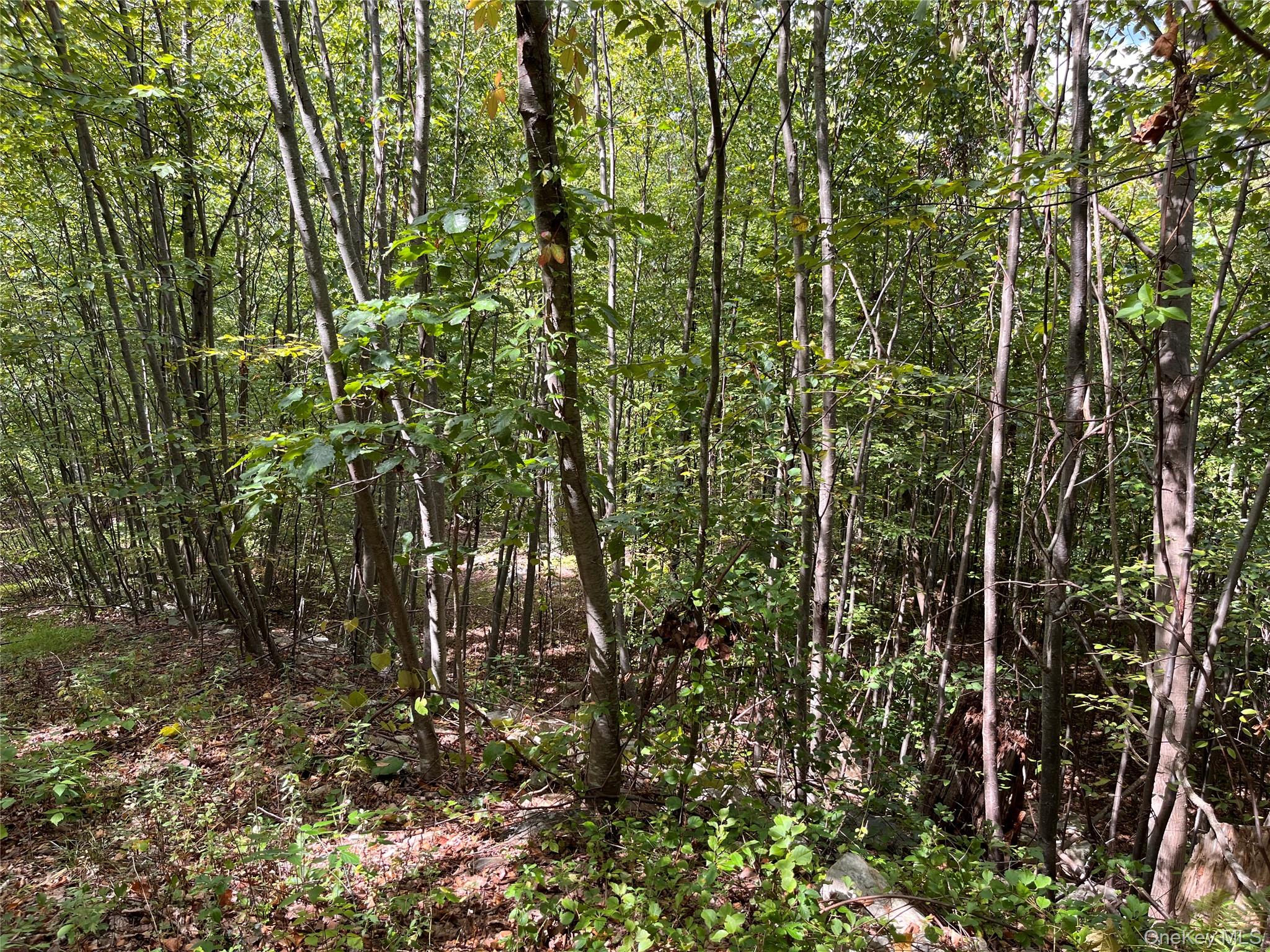 #4 photo, 31 Ridgecrest Road, Lake Peekskill , NY 10537