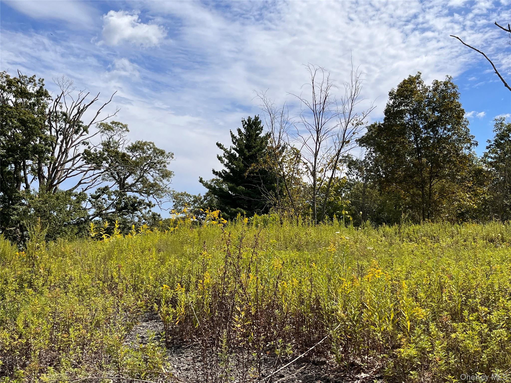 #5 photo, 31 Ridgecrest Road, Lake Peekskill , NY 10537