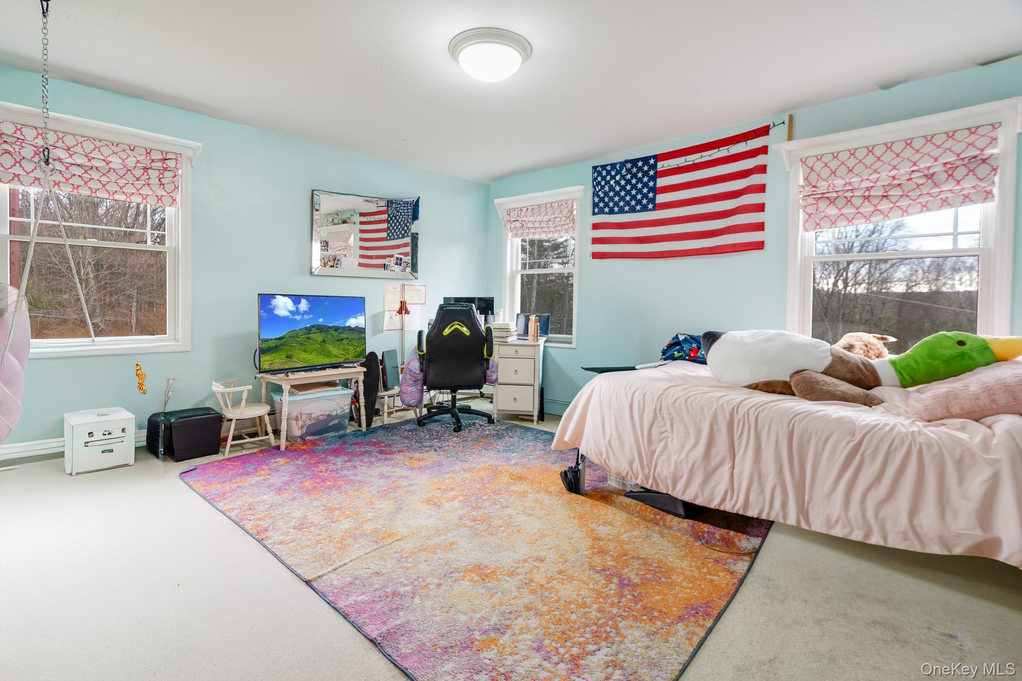 #16 photo, 112 Pleasant View Road, 뉴욕주 Pleasant Valley , NY 12569