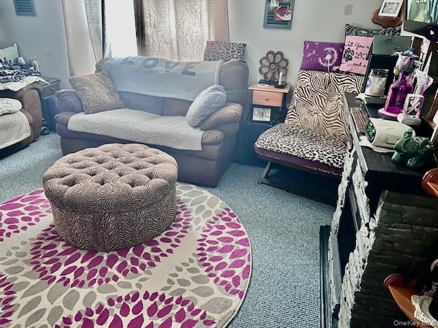 #12 photo, 27 Delaware Drive, 纽约州 Sparrowbush , NY 12780