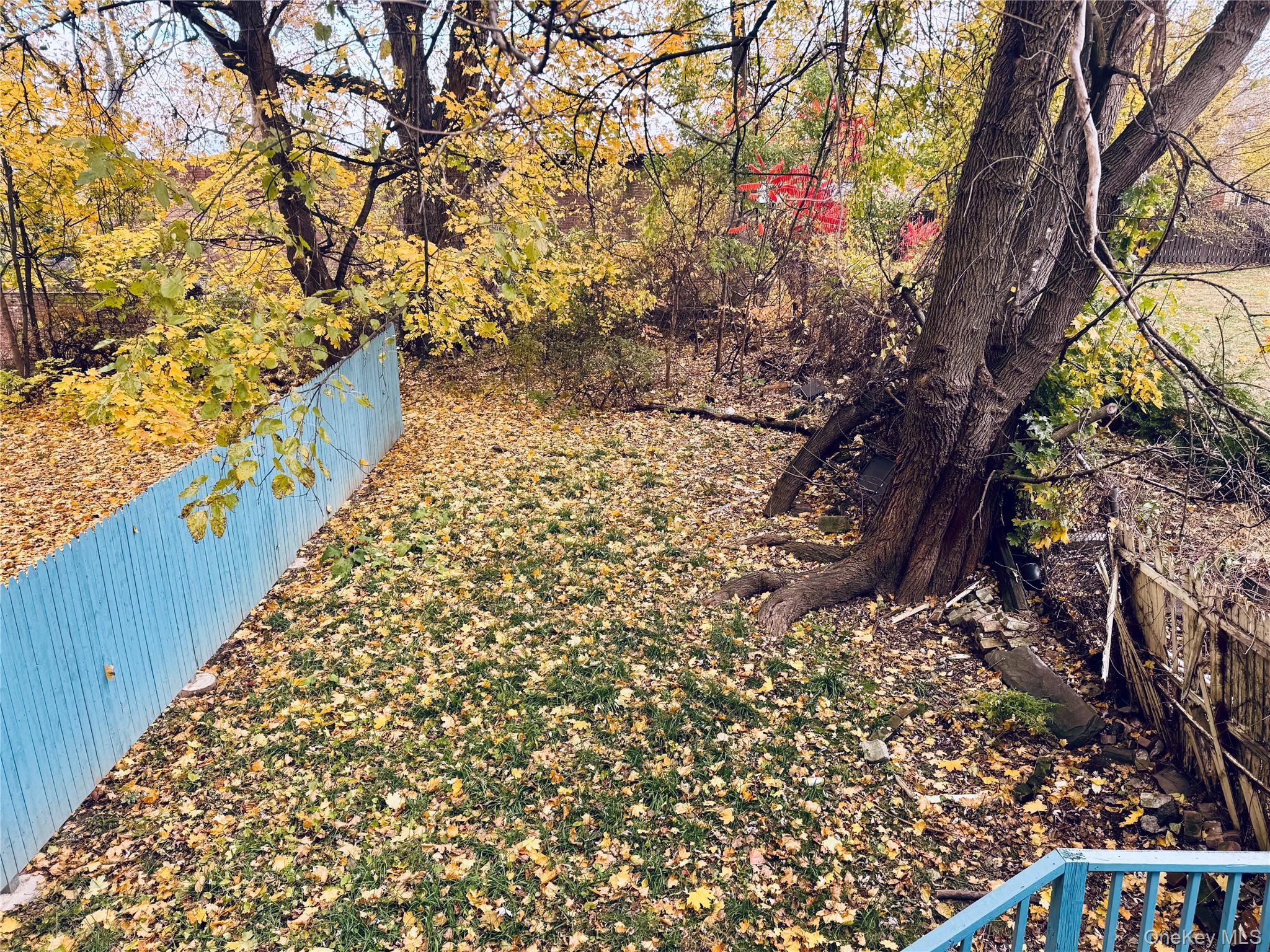 #16 photo, 282 Grand Street, 纽约州 Newburgh , NY 12550