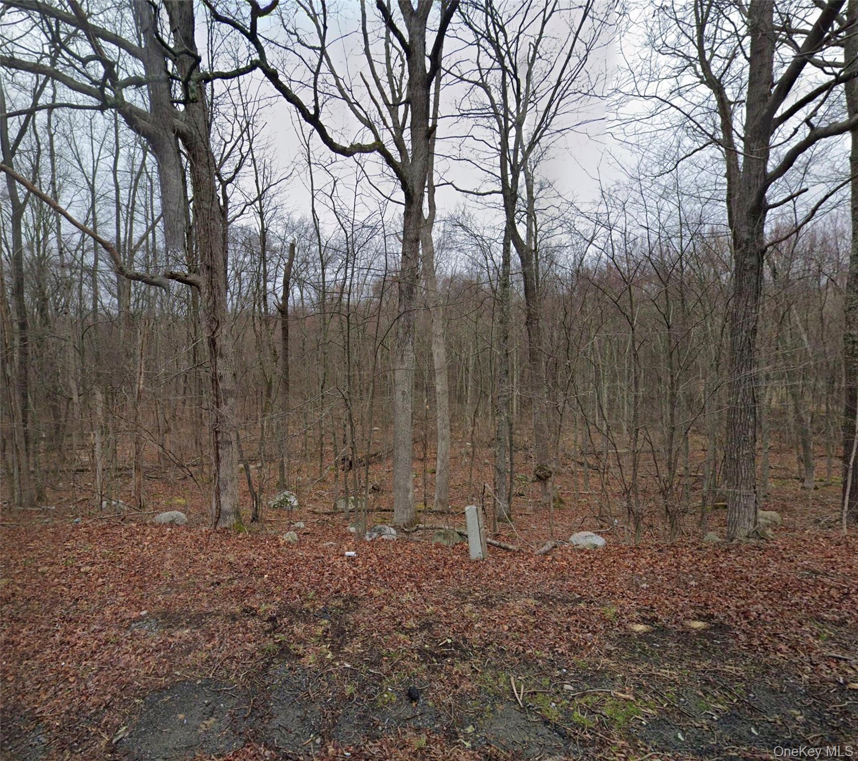 #2 photo, Cr-49, Middletown , NY 10940