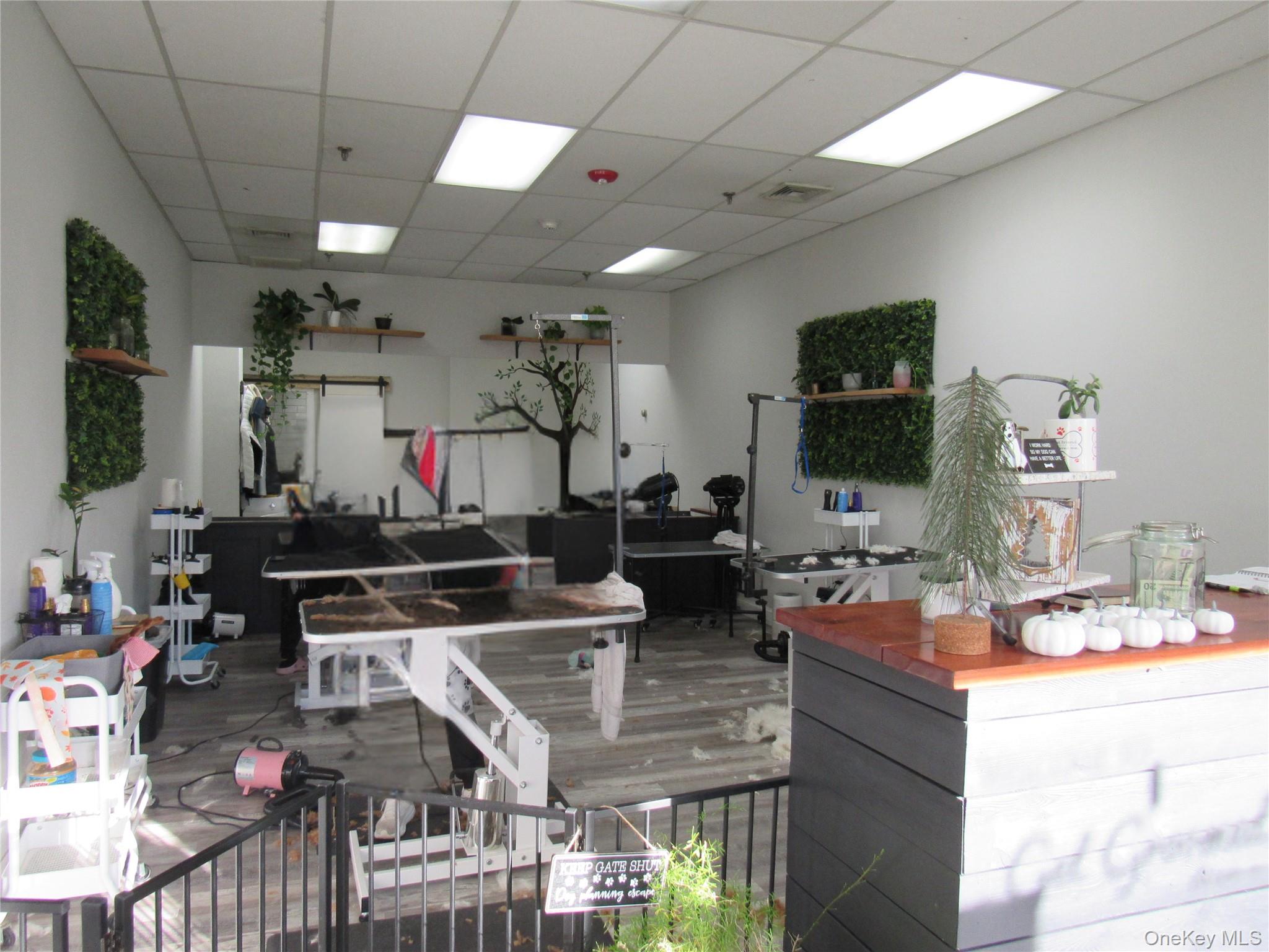 #3 photo, 192 N Highland Avenue, 纽约州 Ossining , NY 10562