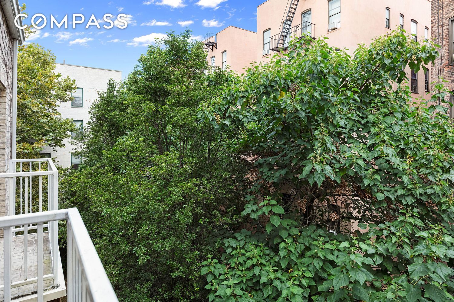 #9 photo, New York City, Central Harlem , NY 10039