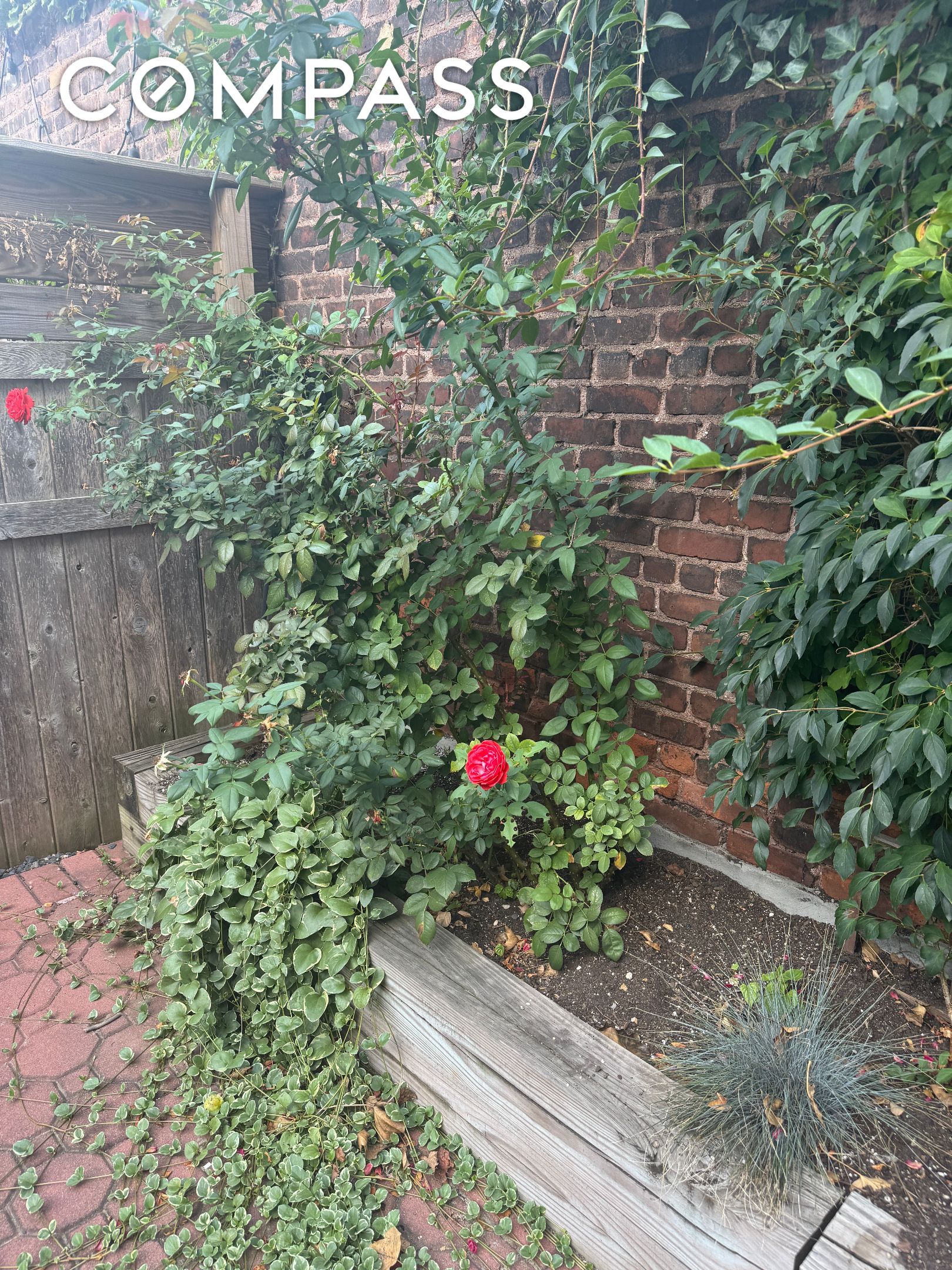 #18 photo, Brooklyn, Crown Heights , NY 11225