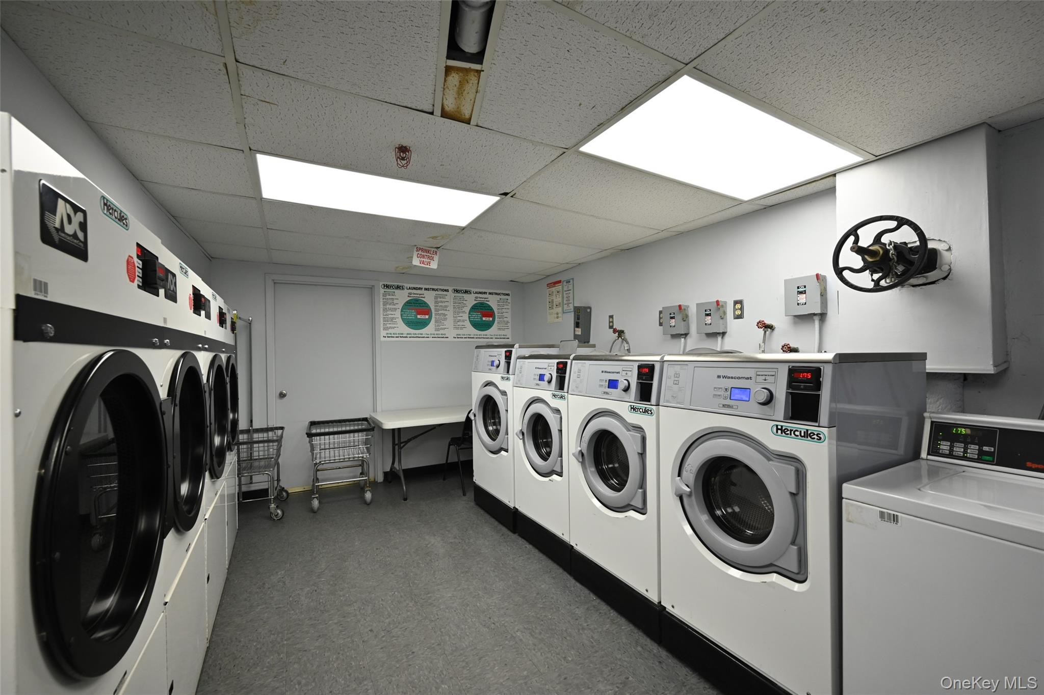 #15 photo, 100-25 Queens Boulevard, Куинс ‖ Forest Hills , NY 11375