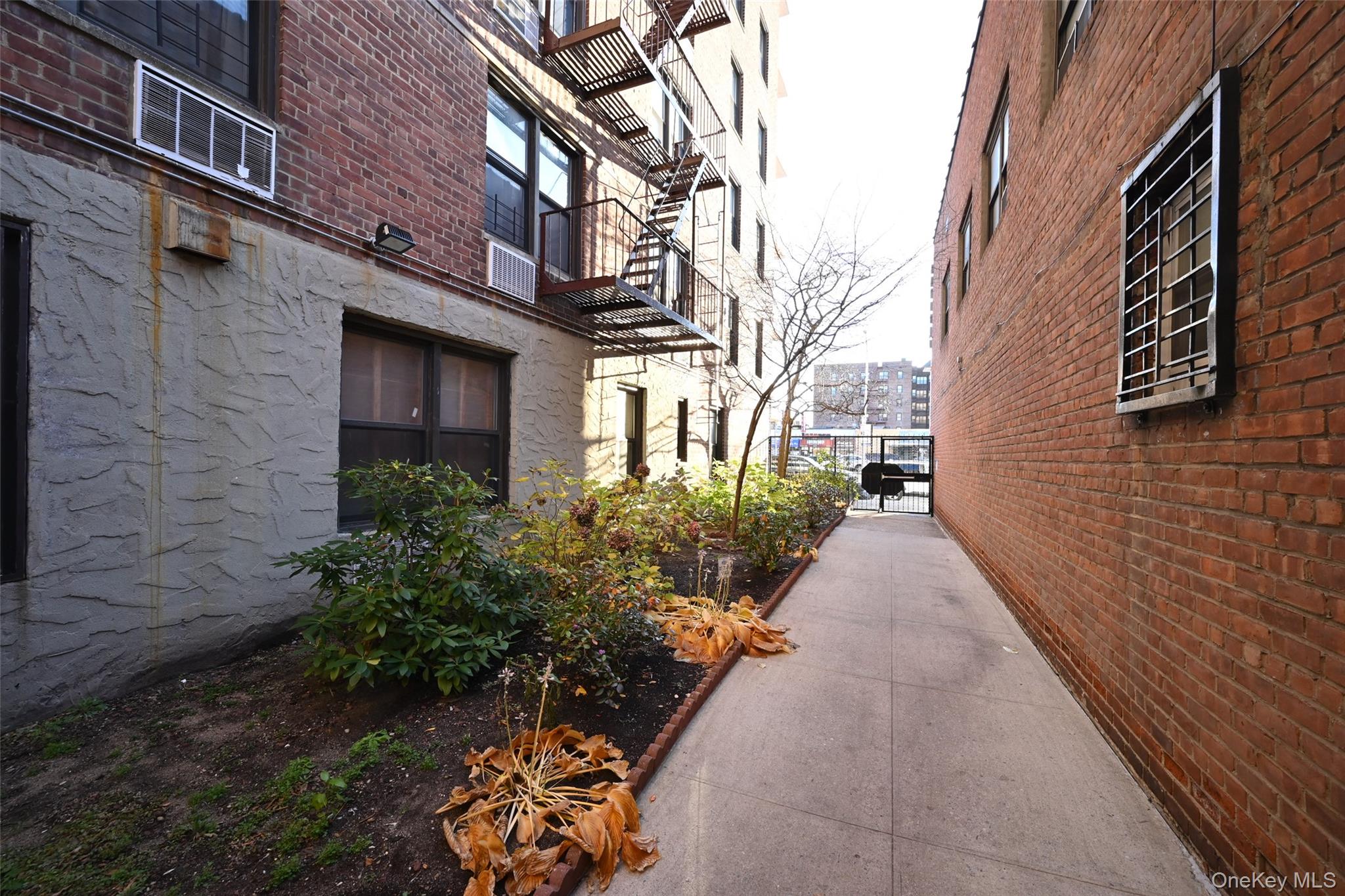 #17 photo, 100-25 Queens Boulevard, Куинс ‖ Forest Hills , NY 11375