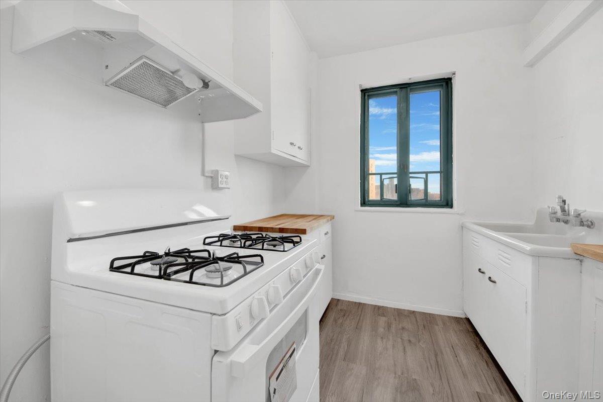 #3 photo, 99 Metropolitan Oval, הברונקס Bronx , NY 10462