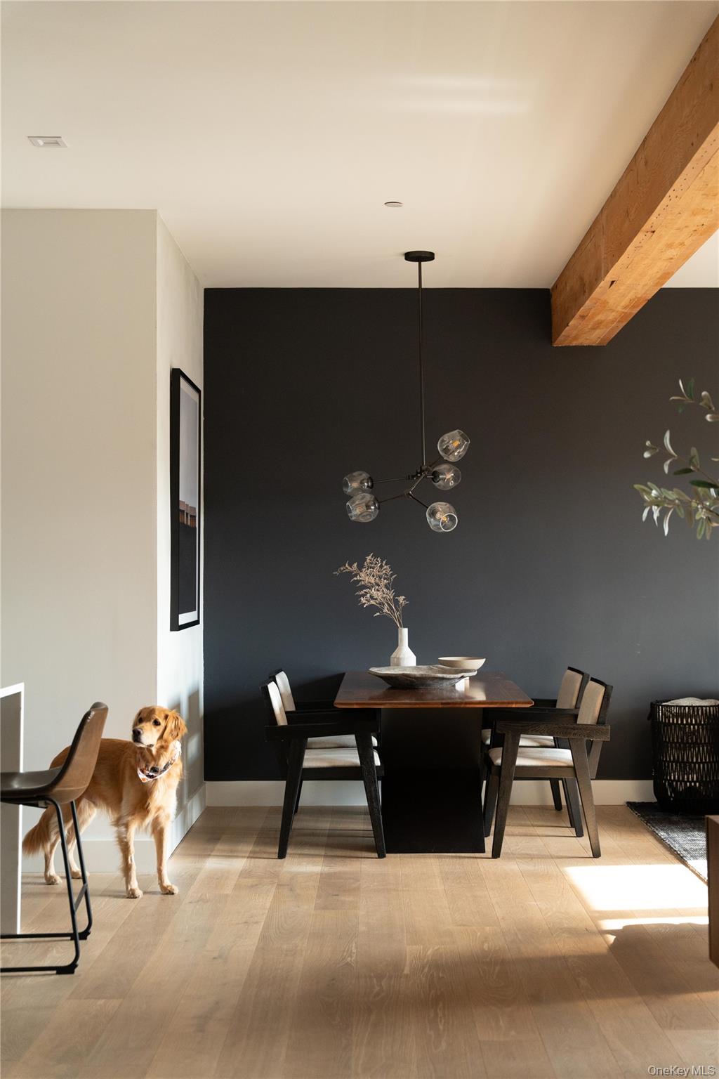 #20 photo, 50 Chestnut Street, Dobbs Ferry , NY 10522