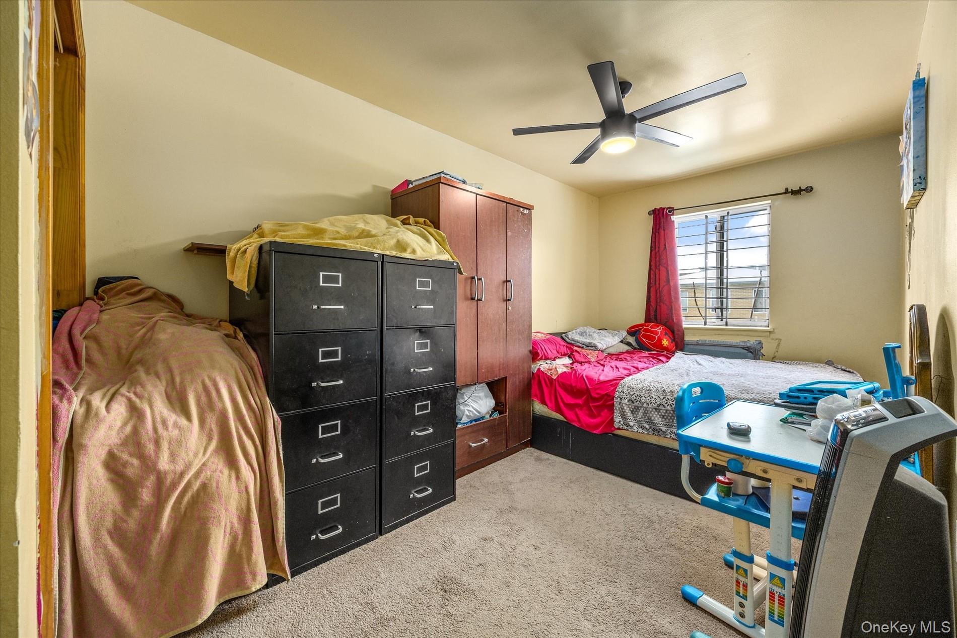 #15 photo, 657 E 102nd #8 Street, הברונקס Brooklyn , NY 11236