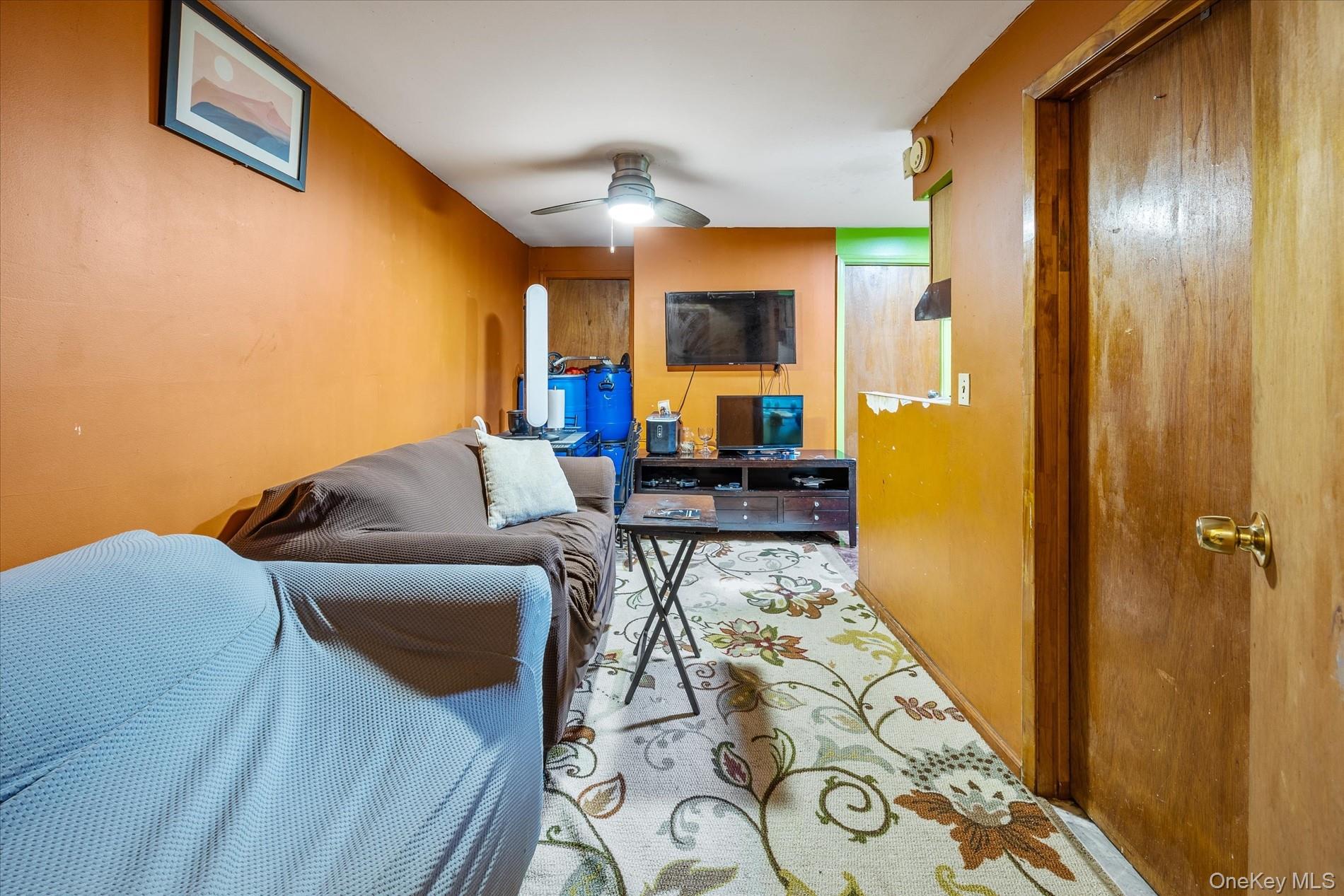 #19 photo, 657 E 102nd #8 Street, הברונקס Brooklyn , NY 11236