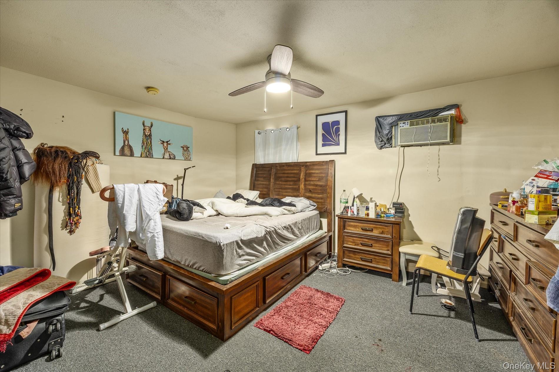 #20 photo, 657 E 102nd #8 Street, הברונקס Brooklyn , NY 11236