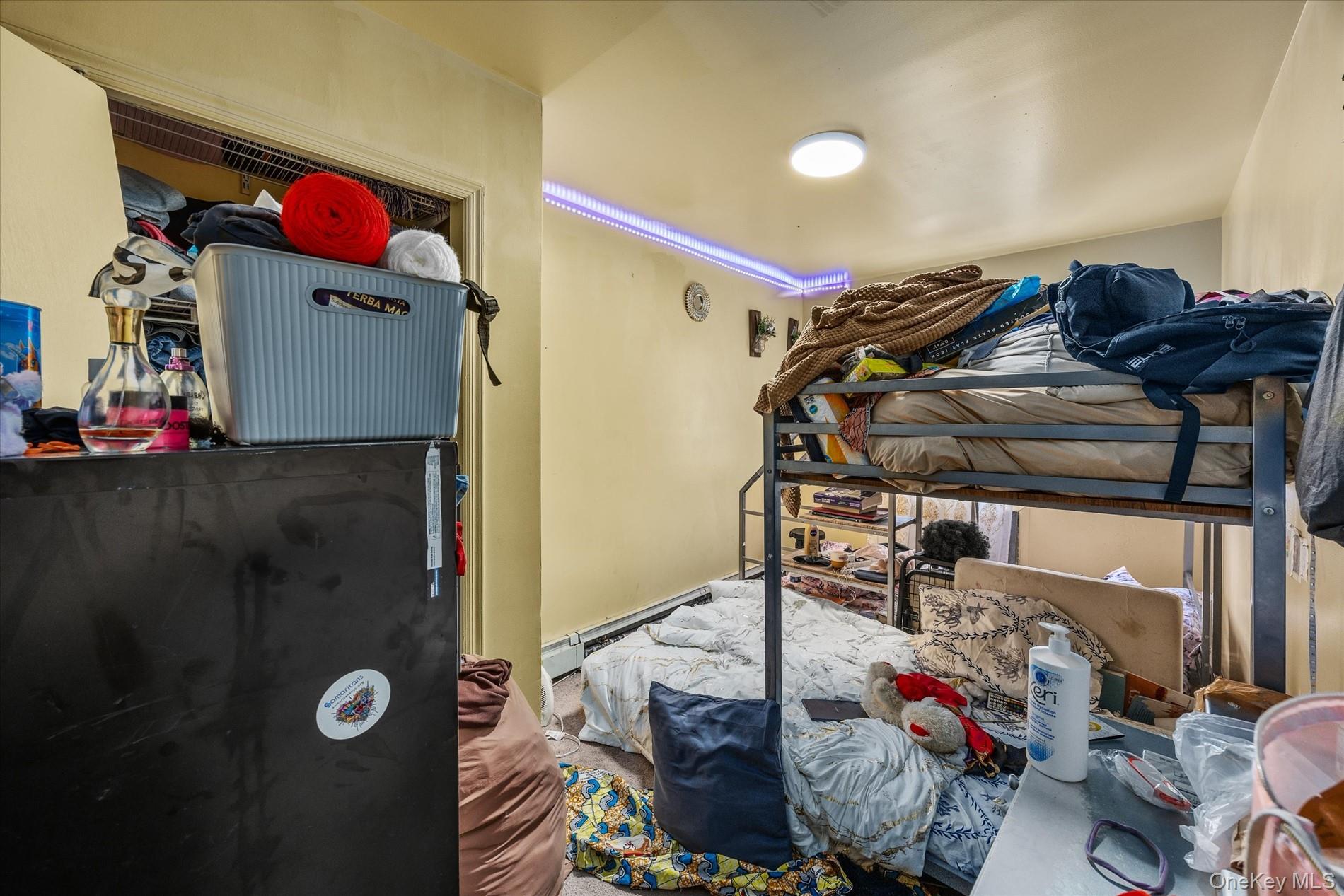 #8 photo, 657 E 102nd #8 Street, הברונקס Brooklyn , NY 11236