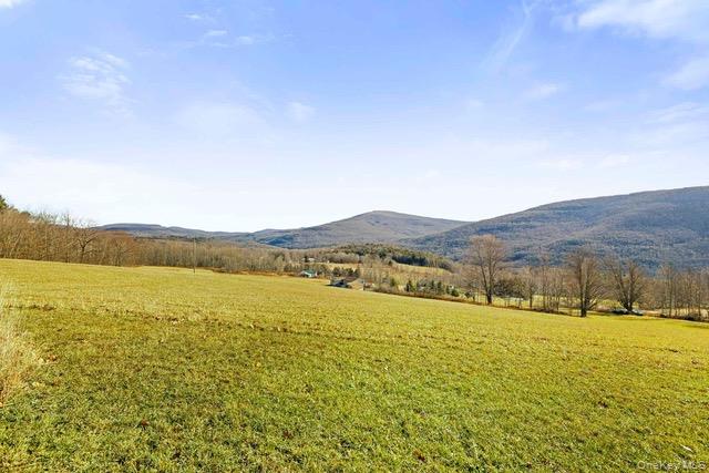 #11 photo, 130 Hanley Road, Fleischmanns , NY 12430