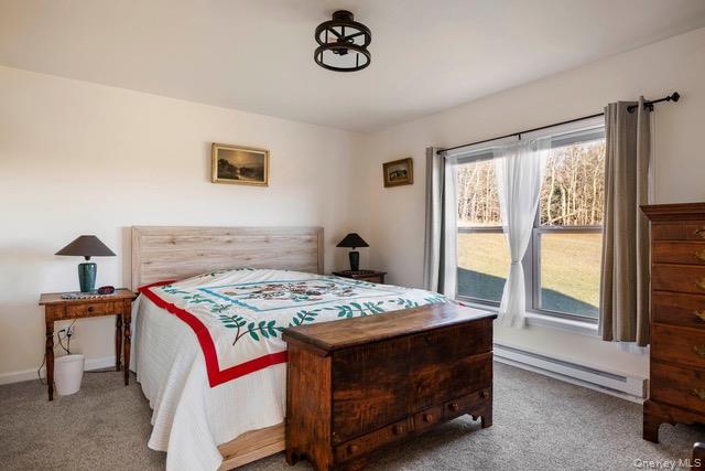 #15 photo, 130 Hanley Road, Fleischmanns , NY 12430