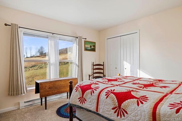 #18 photo, 130 Hanley Road, Fleischmanns , NY 12430