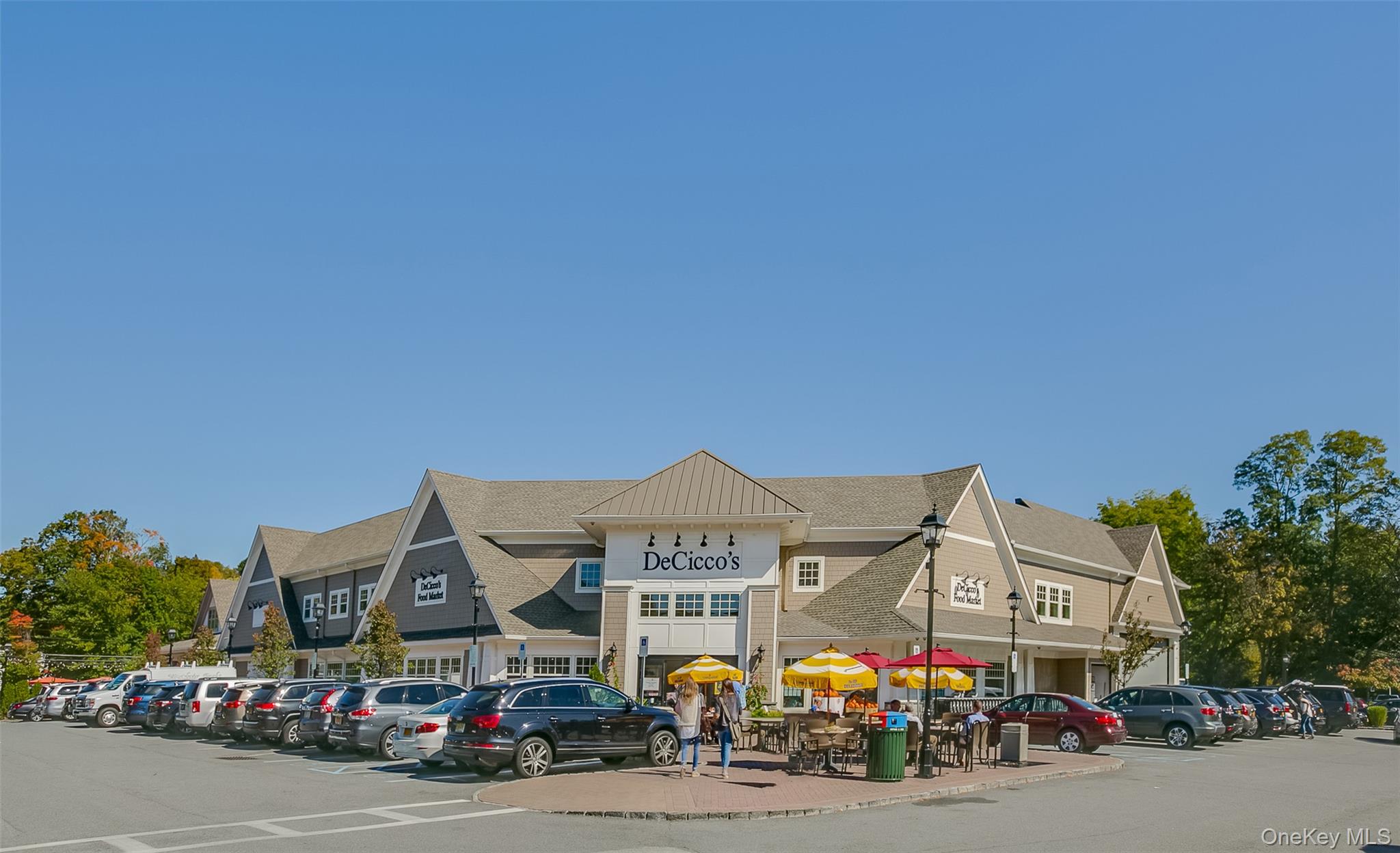 #20 photo, 71 Cox Avenue, 纽约州 Armonk , NY 10504