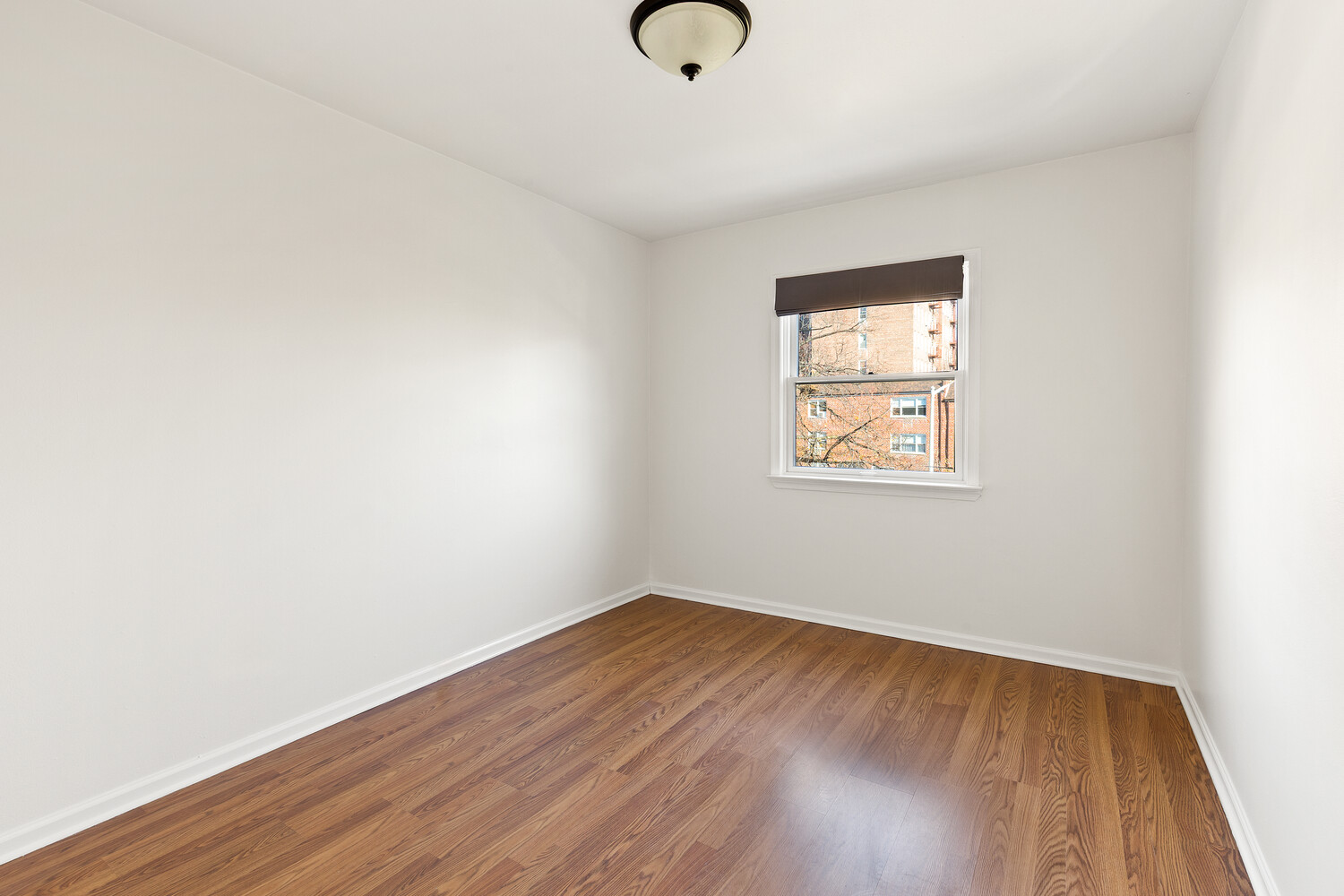 #4 photo, Brooklyn, Windsor Terrace , NY 11218