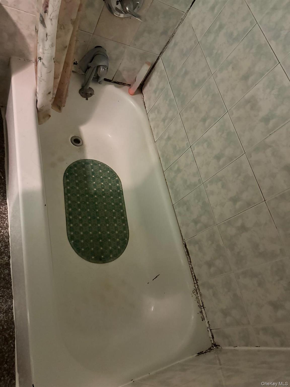 #11 photo, 35-27 109th street, Corona , NY 11368