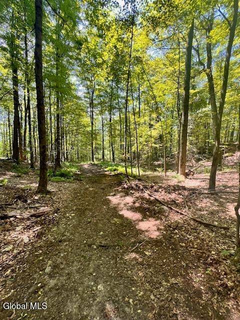 #10 photo, L7.41 Summit Lake Rd, Argyle , NY 12809