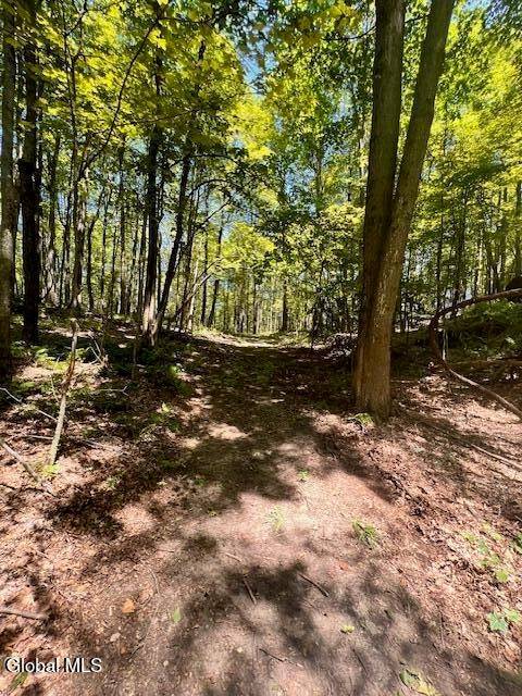 #11 photo, L7.41 Summit Lake Rd, Argyle , NY 12809