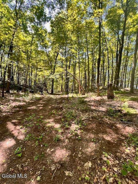 #12 photo, L7.41 Summit Lake Rd, Argyle , NY 12809