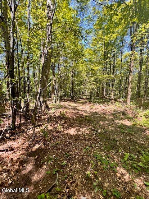 #13 photo, L7.41 Summit Lake Rd, Argyle , NY 12809