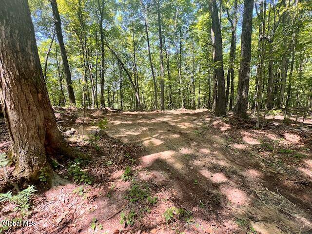 #15 photo, L7.41 Summit Lake Rd, Argyle , NY 12809