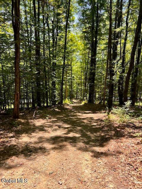 #2 photo, L7.41 Summit Lake Rd, Argyle , NY 12809