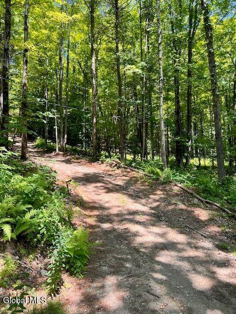 #3 photo, L7.41 Summit Lake Rd, Argyle , NY 12809