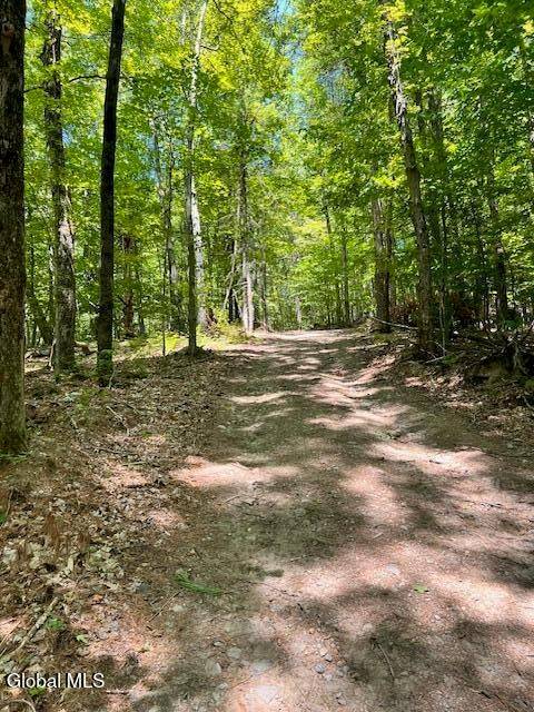 #4 photo, L7.41 Summit Lake Rd, Argyle , NY 12809