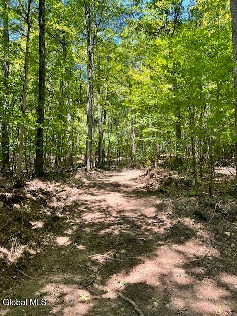 #5 photo, L7.41 Summit Lake Rd, Argyle , NY 12809