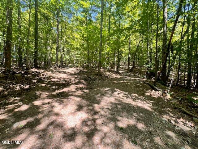 #6 photo, L7.41 Summit Lake Rd, Argyle , NY 12809