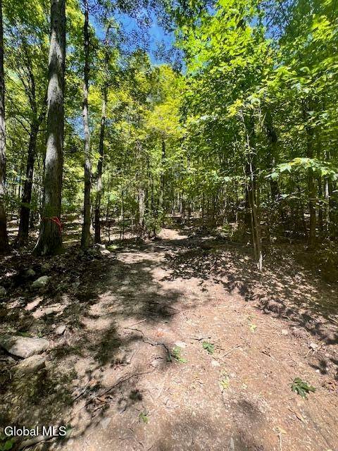 #7 photo, L7.41 Summit Lake Rd, Argyle , NY 12809