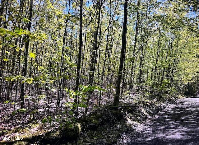 #14 photo, L28 Koster Way, Hebron , NY 12865