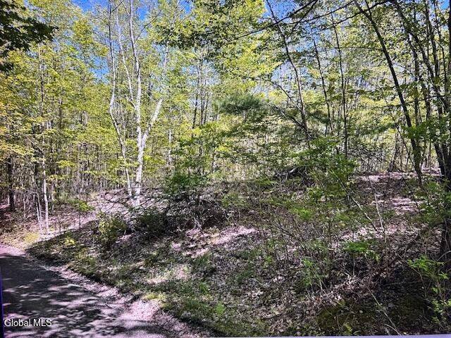 #17 photo, L28 Koster Way, Hebron , NY 12865