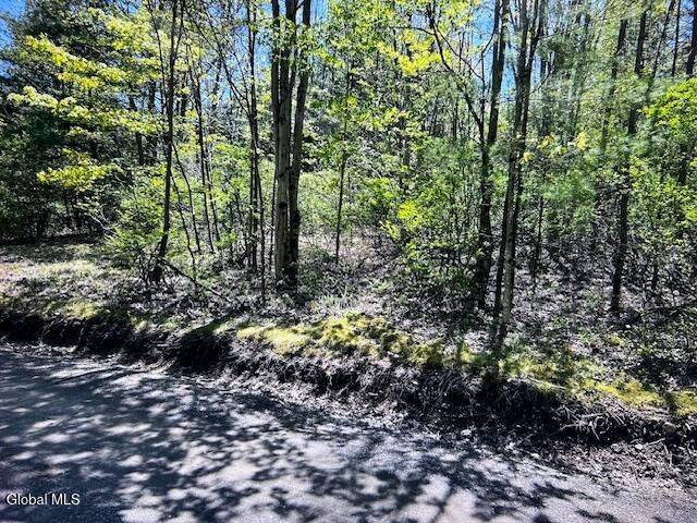 #18 photo, L28 Koster Way, Hebron , NY 12865