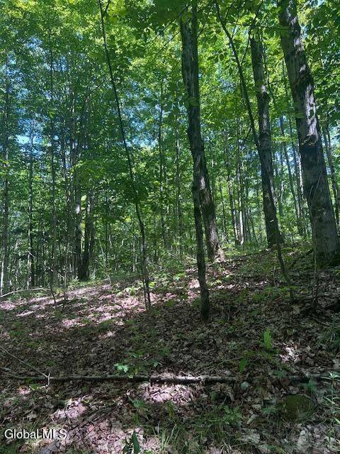 #3 photo, L28 Koster Way, Hebron , NY 12865