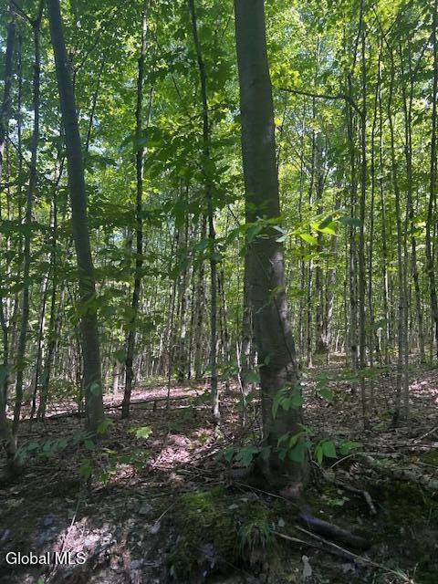 #4 photo, L28 Koster Way, Hebron , NY 12865