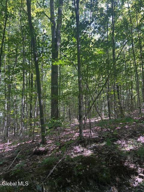 #5 photo, L28 Koster Way, Hebron , NY 12865