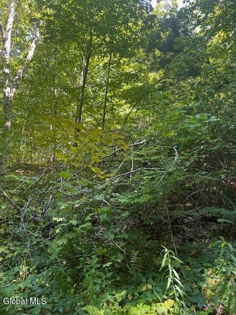 #7 photo, L28 Koster Way, Hebron , NY 12865