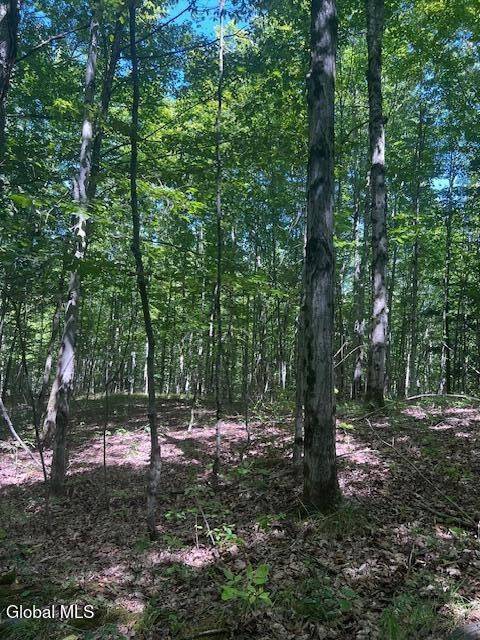 #8 photo, L28 Koster Way, Hebron , NY 12865