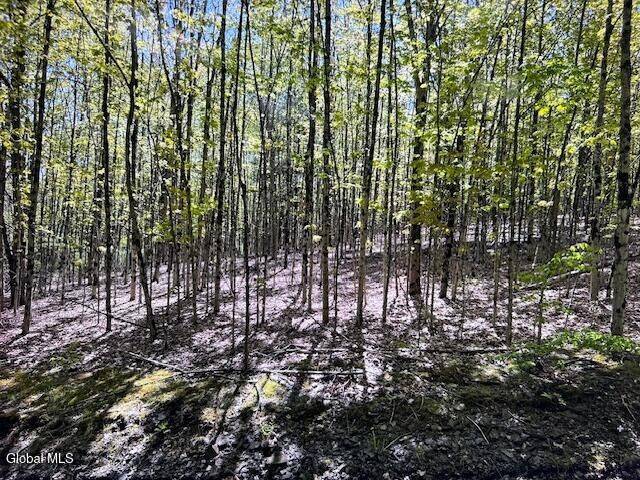 #9 photo, L28 Koster Way, Hebron , NY 12865