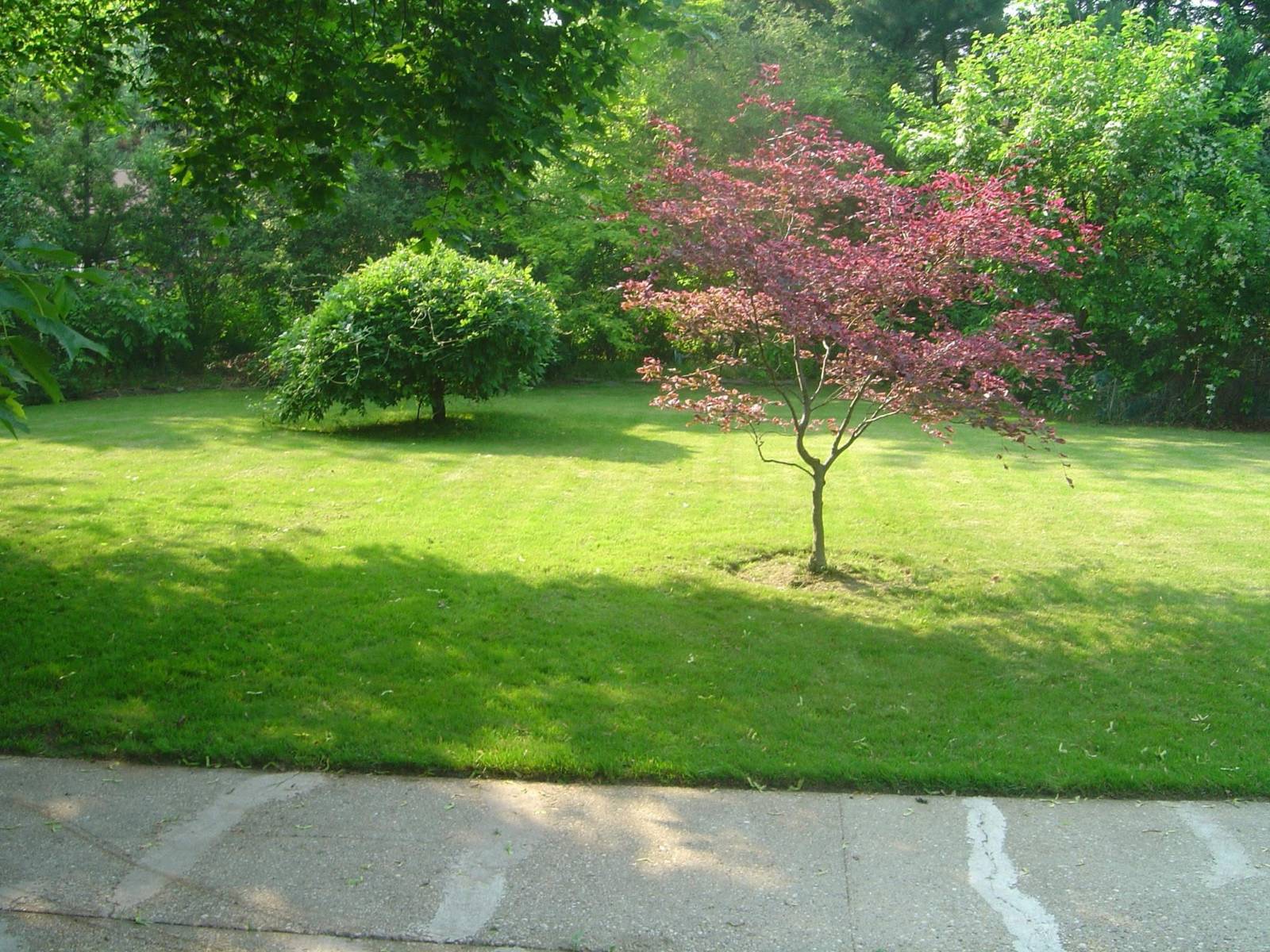 #12 photo, 305  Maplewood Rd, सफ़ोक काउंटी Huntington Station , NY 11746