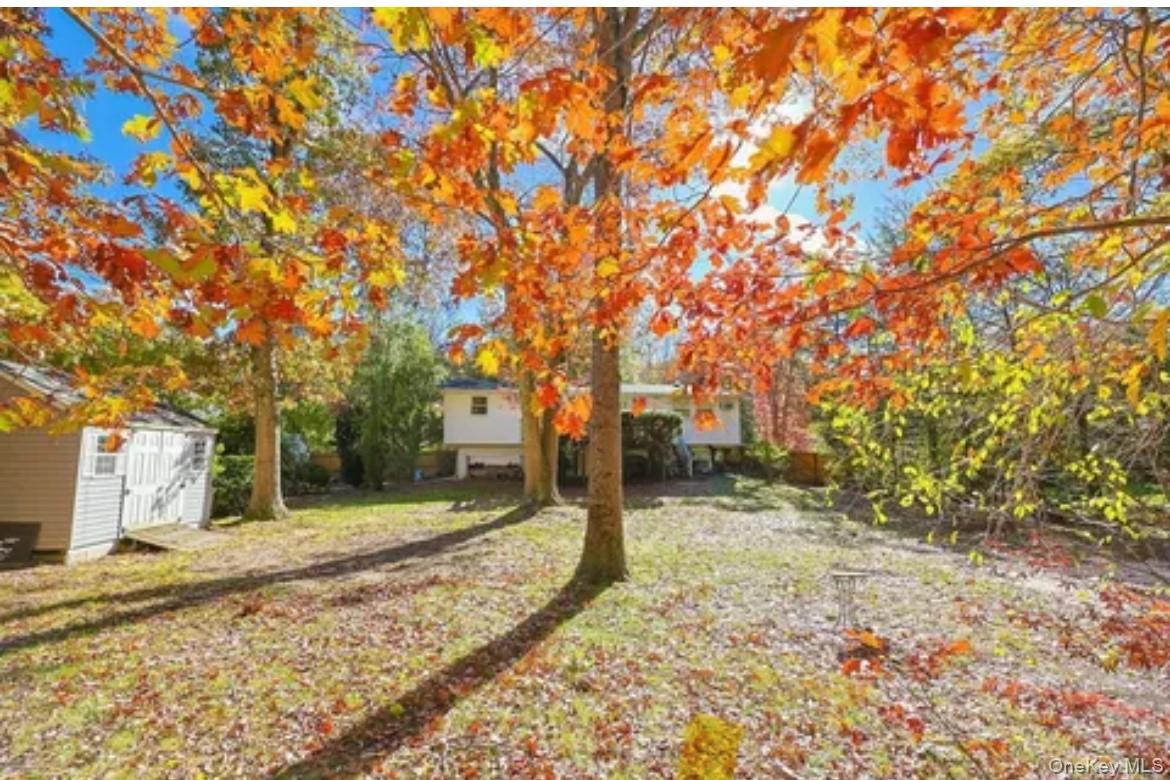 #11 photo, Brookhaven, Саффолк ‖ Brookhaven , NY 11733