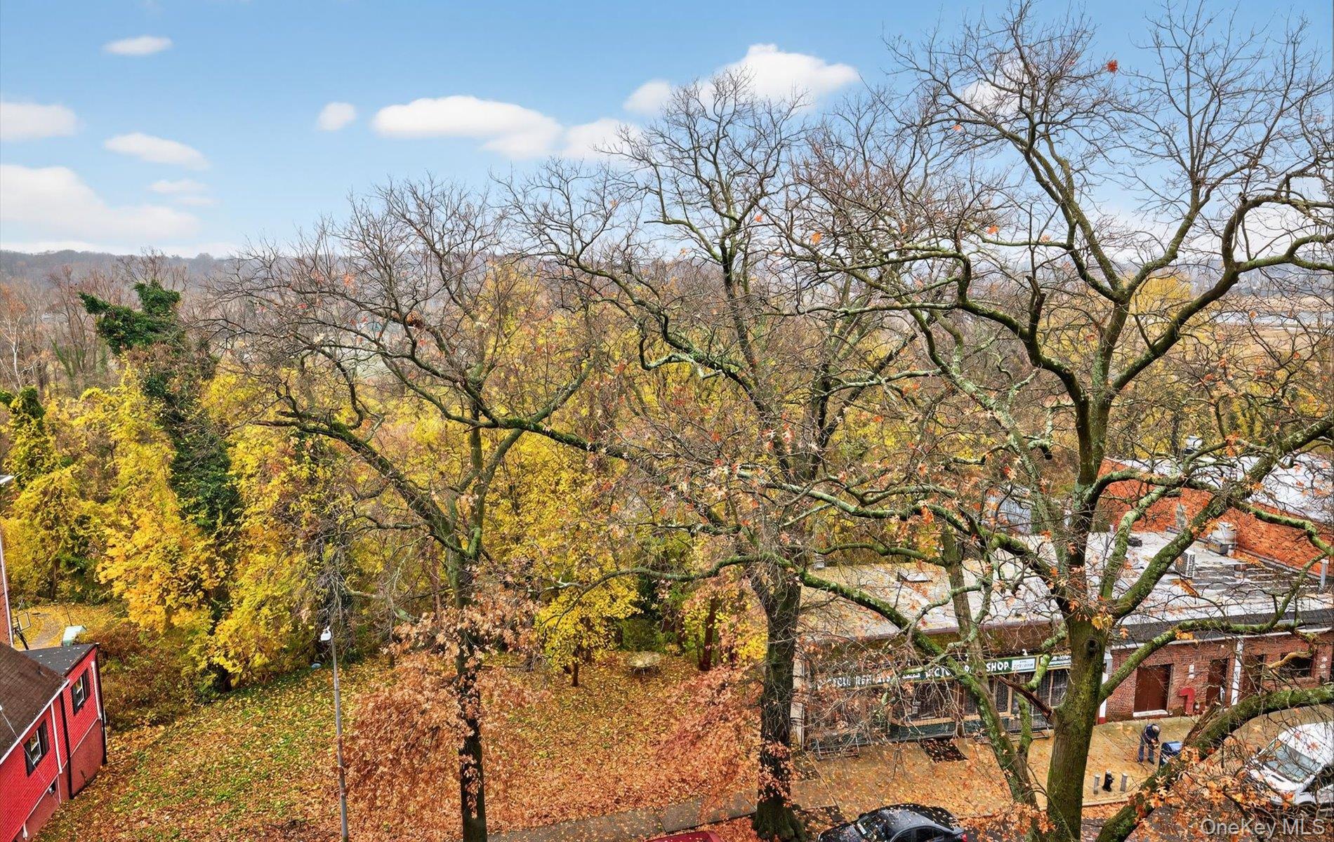 #14 photo, 42-30 Douglaston Parkway, Douglaston , NY 11363