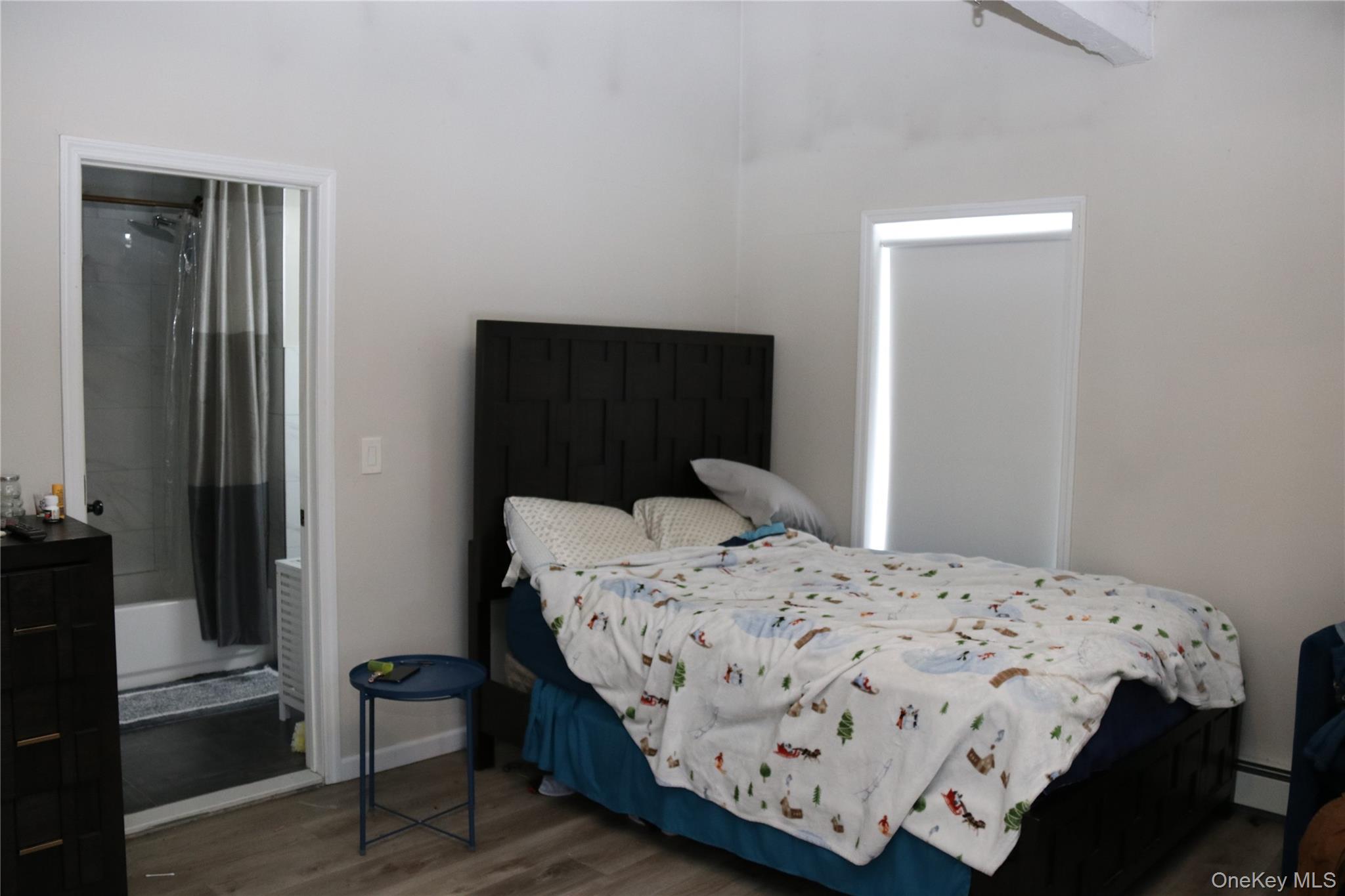 #8 photo, 741 Peenpack Trail, Sparrowbush , NY 12780