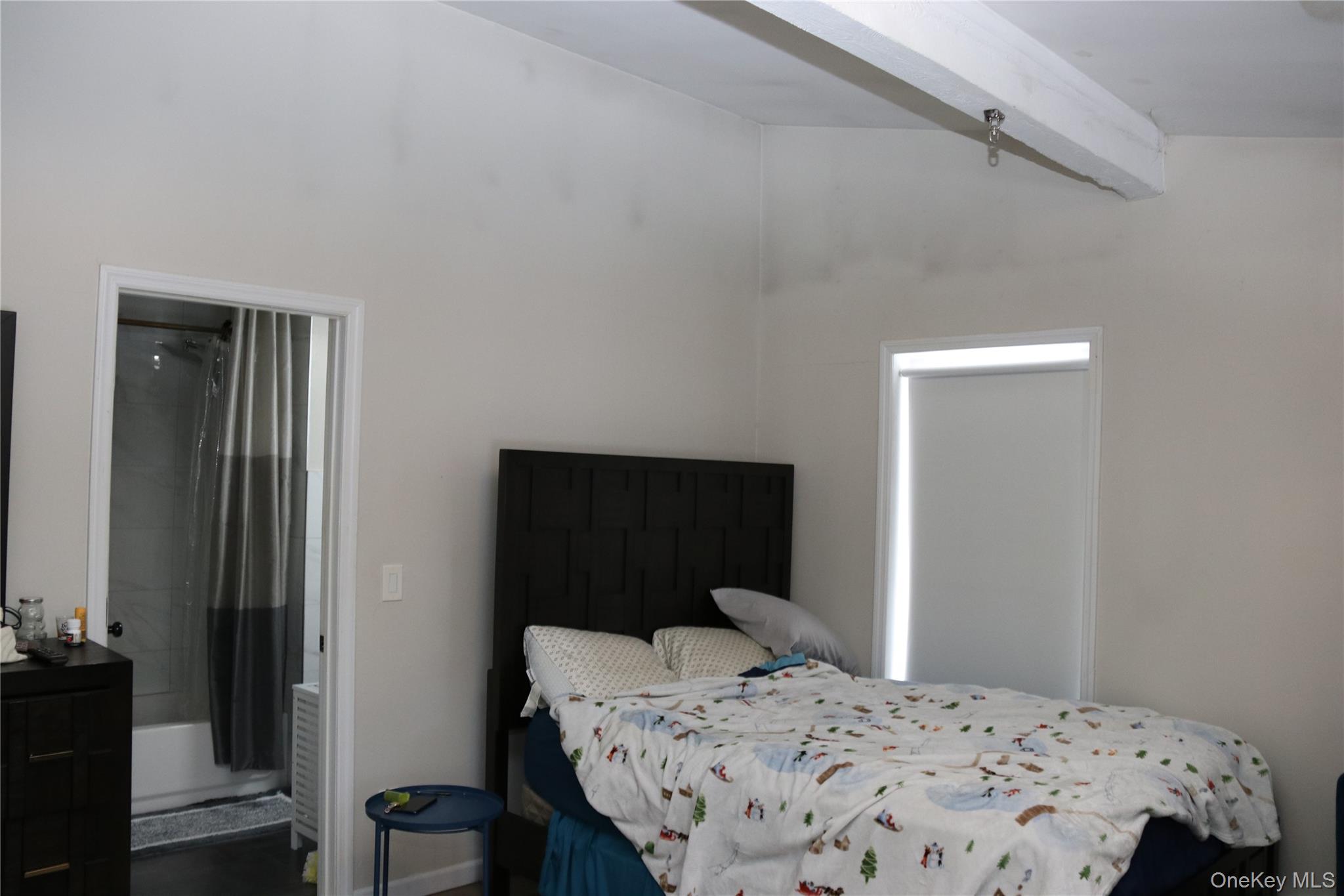 #9 photo, 741 Peenpack Trail, Sparrowbush , NY 12780