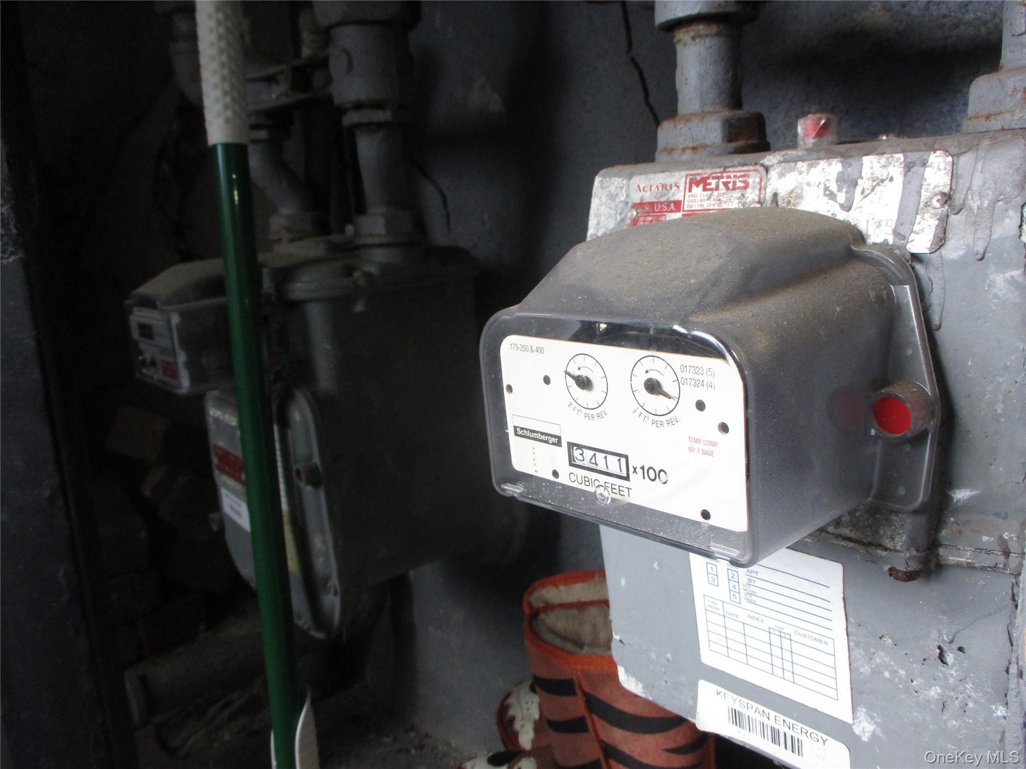 #8 photo, 318 21st Street, Бруклин ‖ Brooklyn , NY 11215